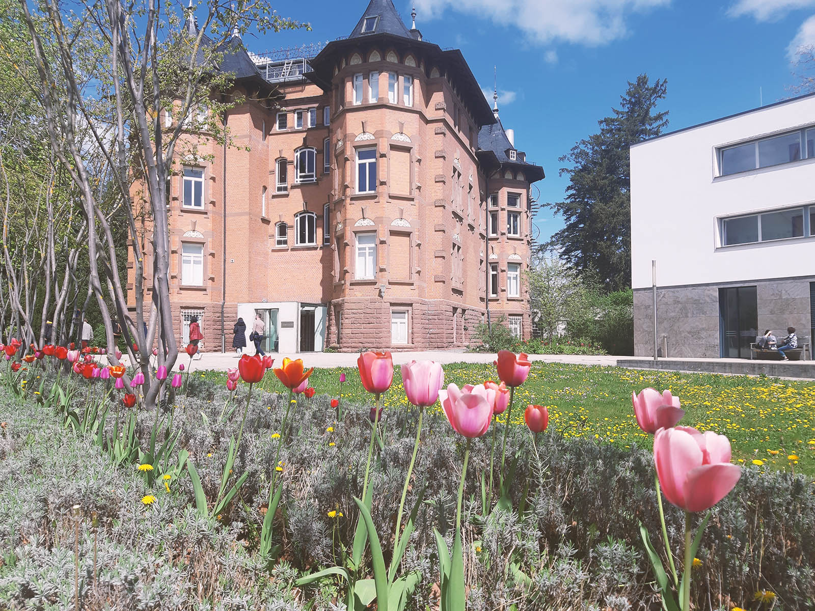 Außenansicht der Villa Vopelius und des Südflügels der Evangelischen Akademie Bad Boll mit blühenden Tulpen im Vordergrund